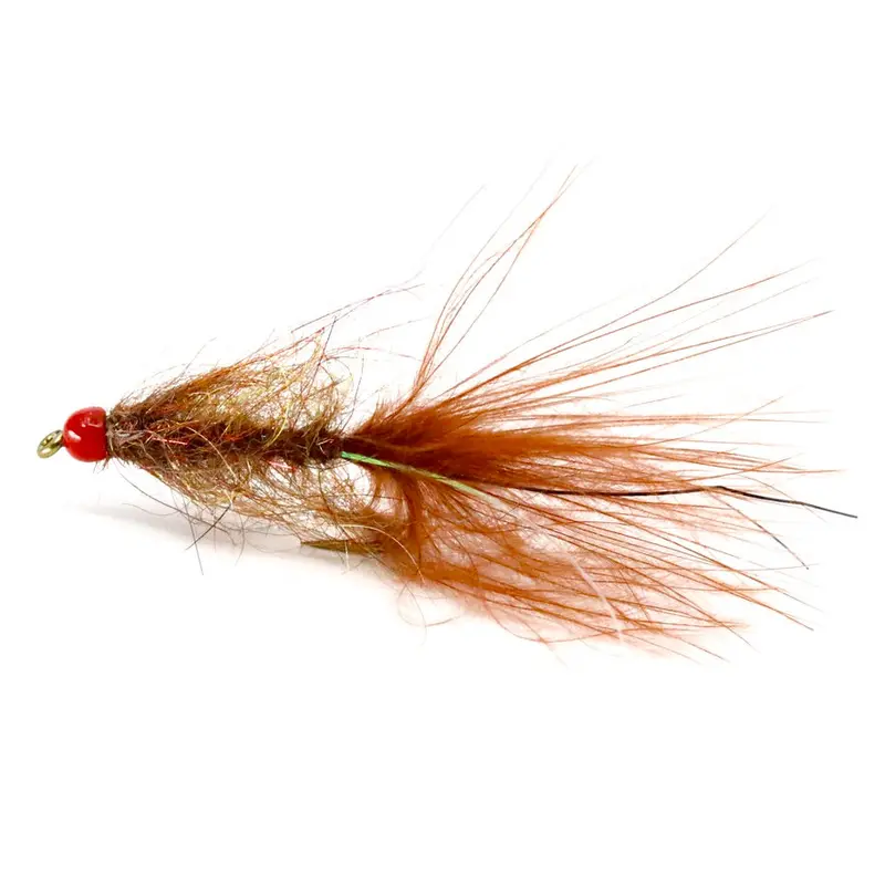 Arizona Leech With Canadian Brown Hackle 1