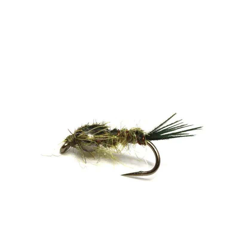Bead-Head Ultimate Skip Nymph In Olive 1