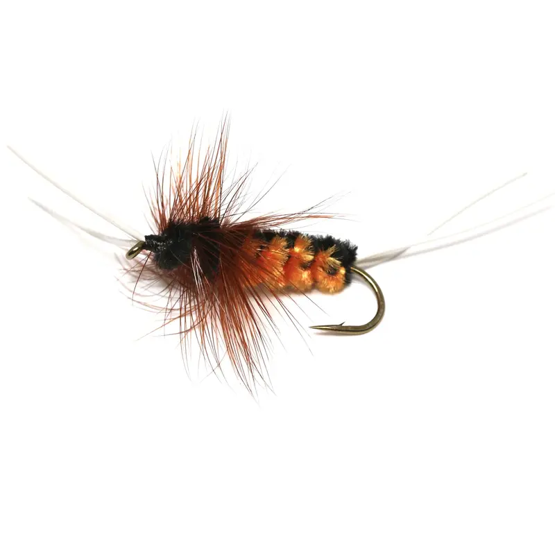 Bitch Creek Nymph – Popular Stonefly Imitation For Western Rivers 1