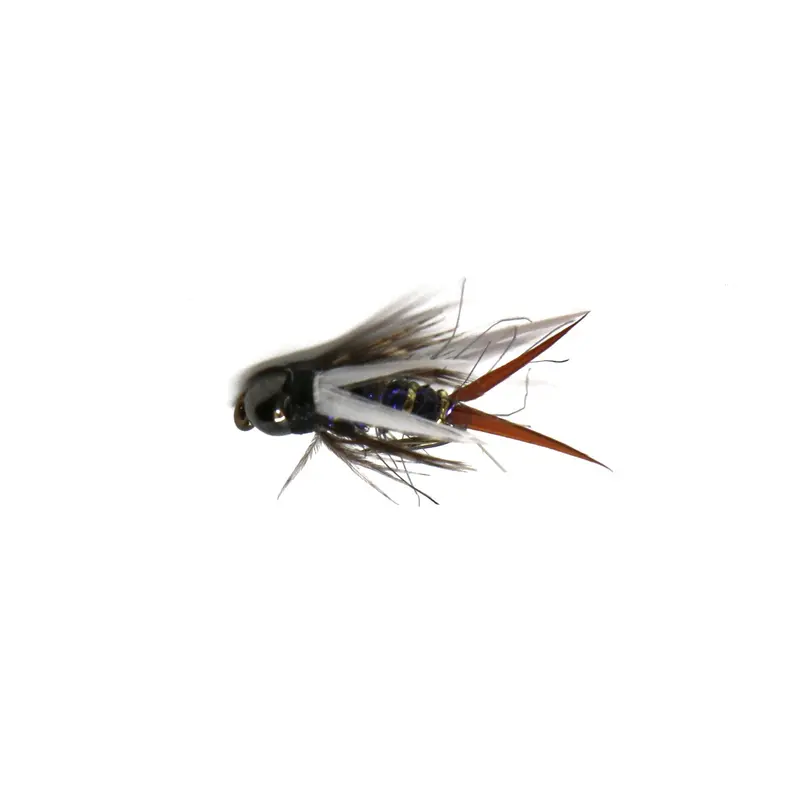 Black-Hot Flash Prince Nymph – Purple Variant 1