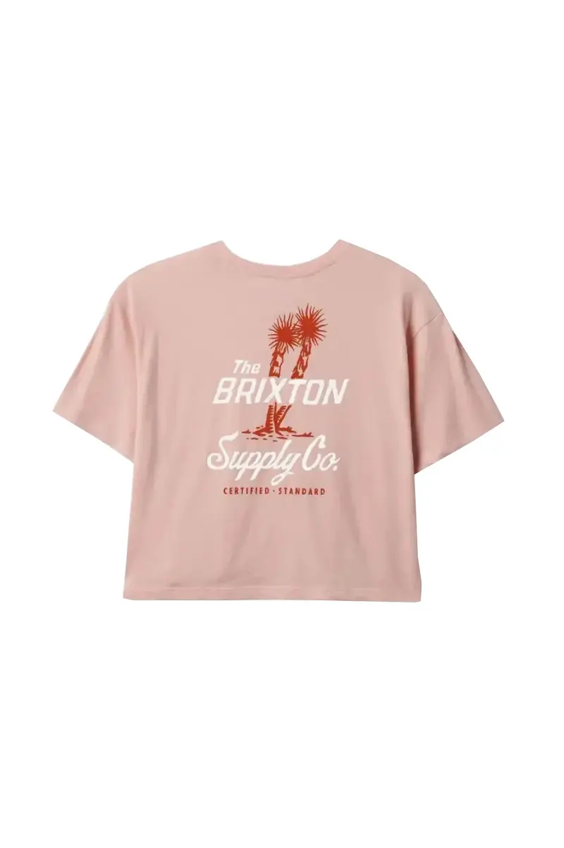 Brixton Austin Short-Sleeve Cotton T-Shirt 1