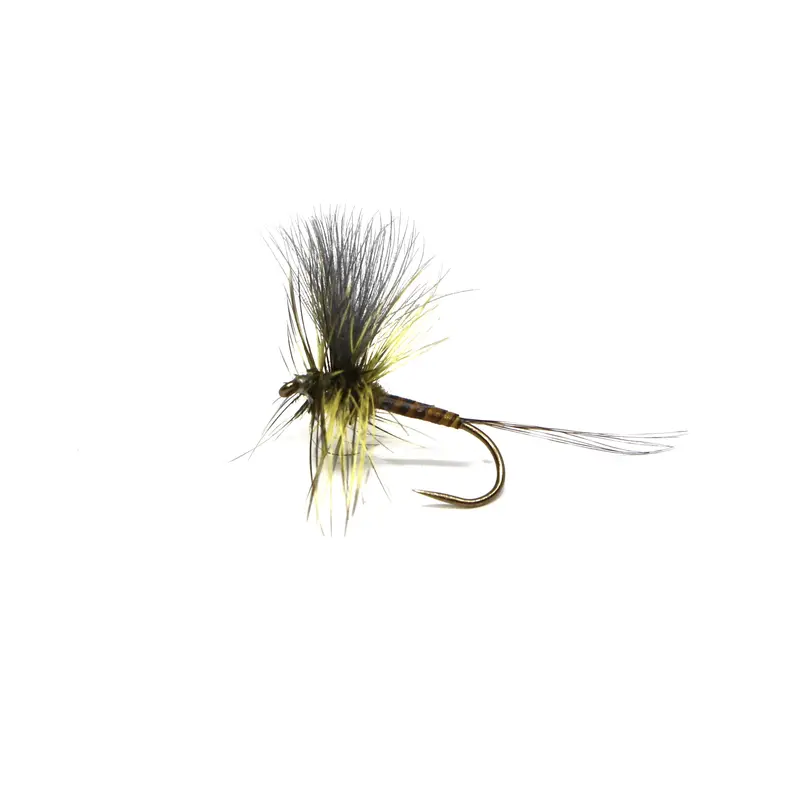 Cdc Green Drake Dry Fly 1
