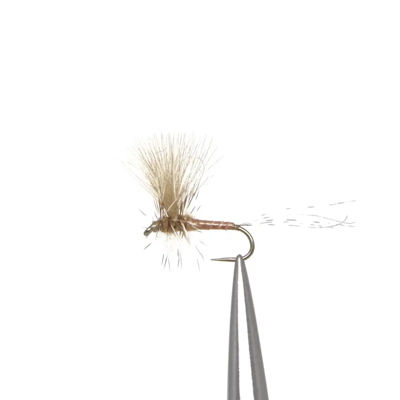 Cdc-Thorax March Brown Dry Fly 1