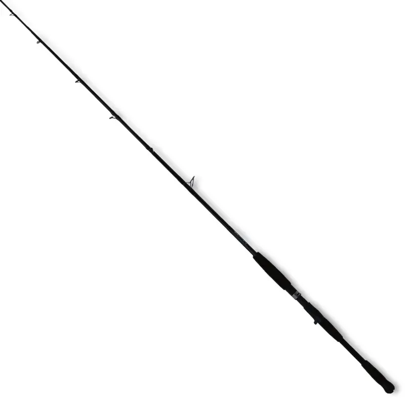 Century Protogger Jigging Casting Rod – Deep-Sea Rod 1