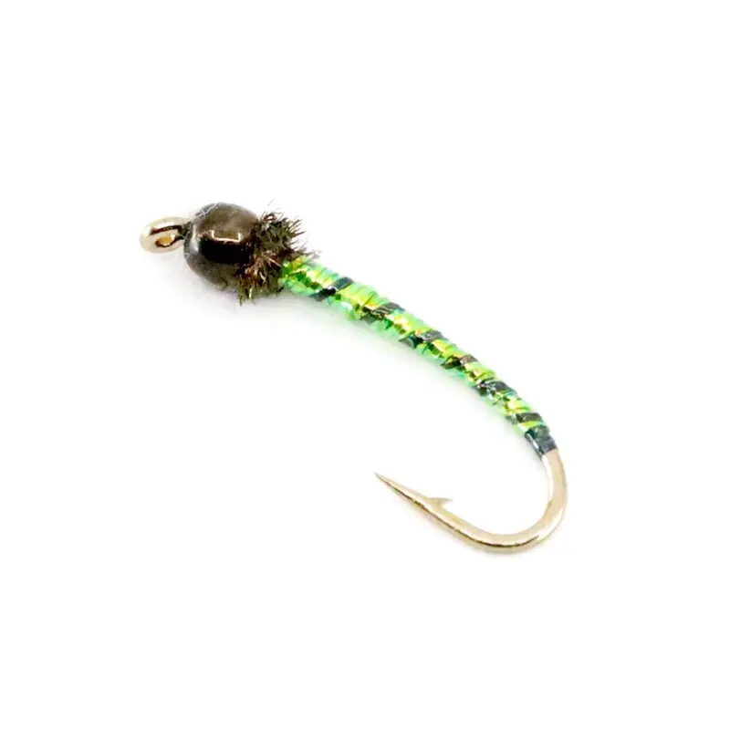Chartreuse-And-Black Chironomid 1