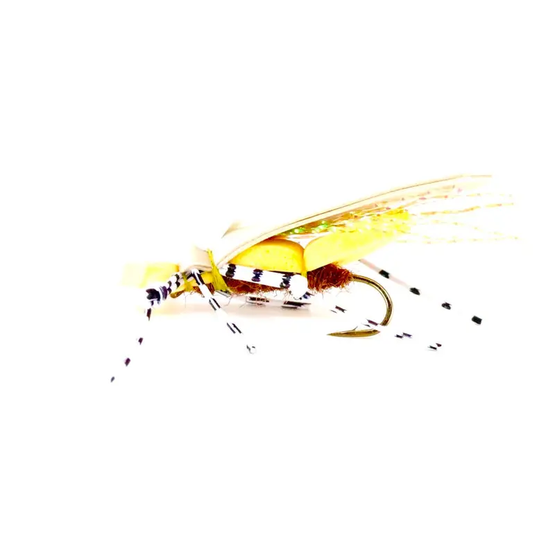 Dornan Water Walker – Peanut 1