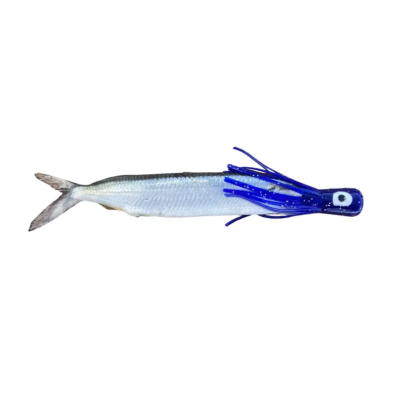 Fish Downsea Chugger Head Lures For Topwater Action 4