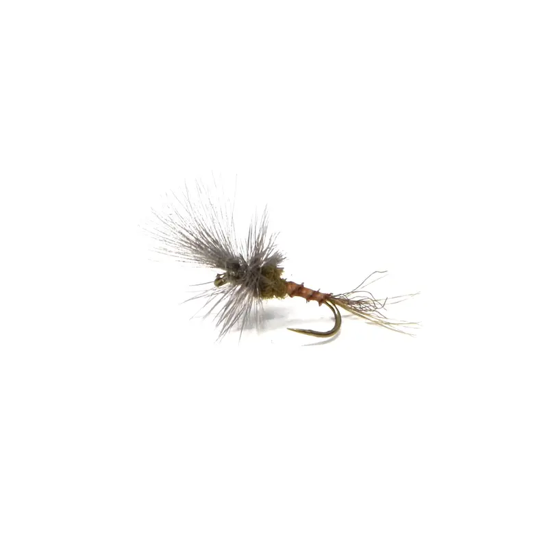 Last-Chance Crippled Bwo Dry Fly 1