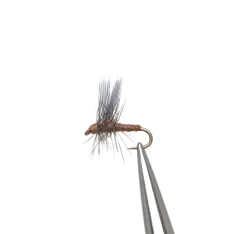 March Brown Thorax – Traditional Mayfly Dun Imitation 1