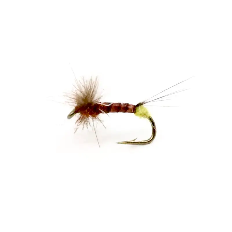 Ninch’S Sacked Out Spinner Dry Fly 1