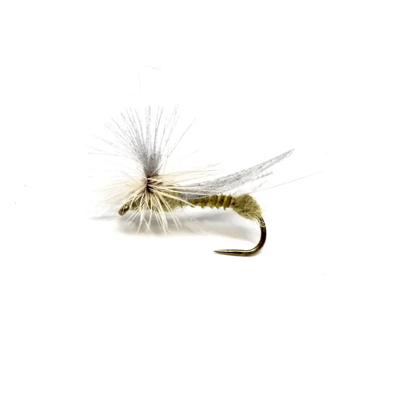 Para Spin Cdc Wing Pmd Emerger 1