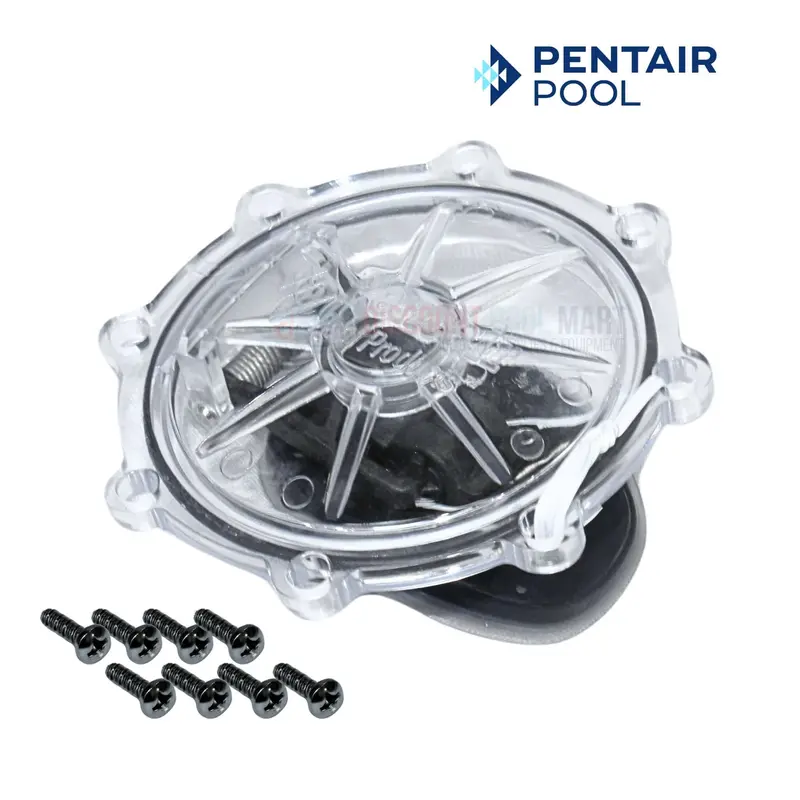 Pentair 2-Inch Check Valve Rebuild Kit (Model 263042Z) 1