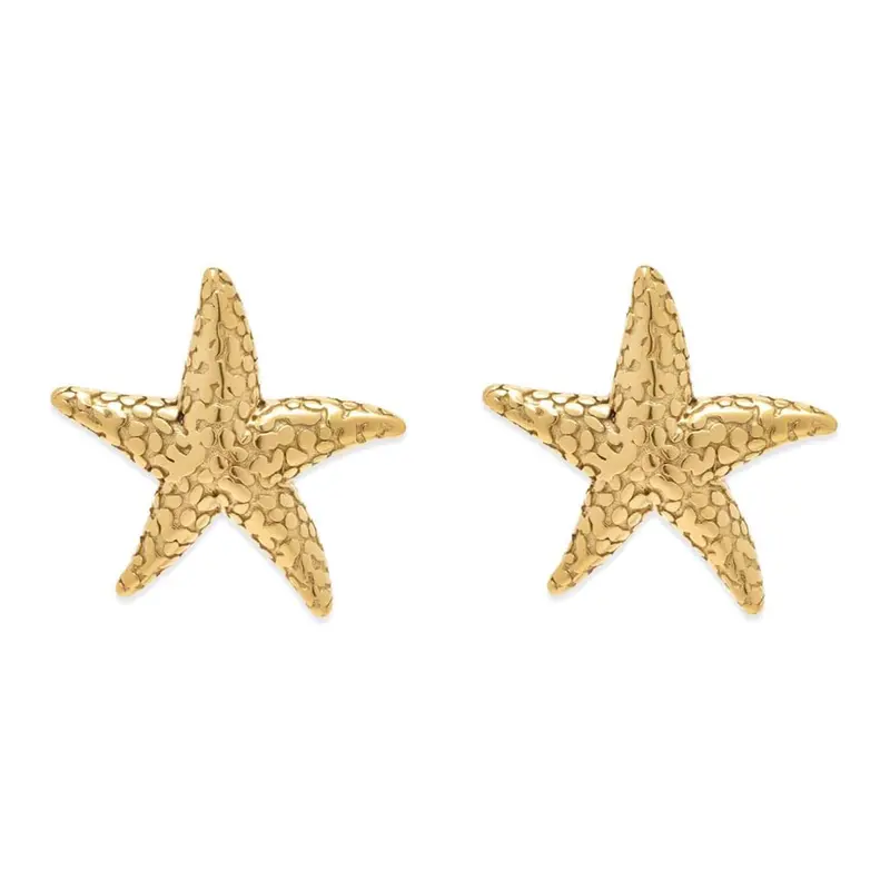 Pura Vida Sea Star Statement Earrings – 5-Piece Set 1