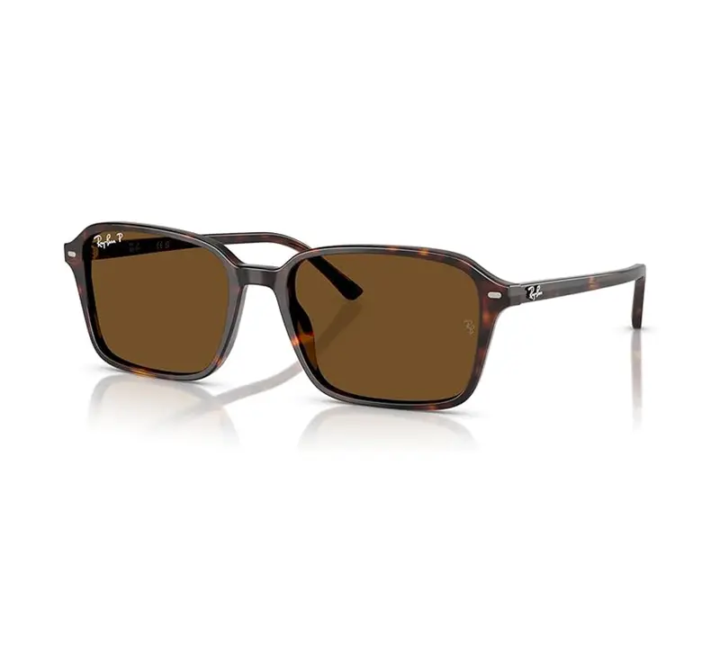 Ray-Ban Raimond Polarized Sunglasses – Modern Round Shape 1