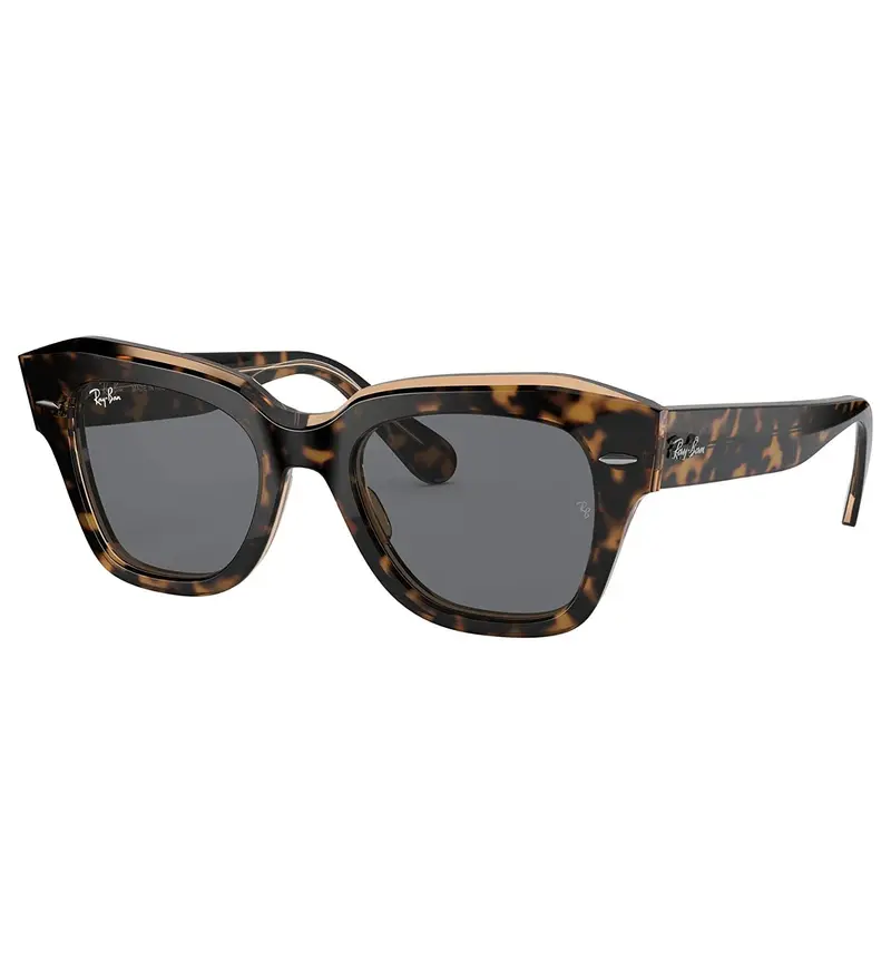 Ray-Ban State Street Round Frame Sunglasses 1