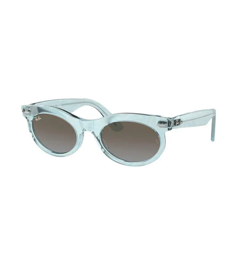 Ray-Ban Wayfarer Oval Polarized Sunglasses 1
