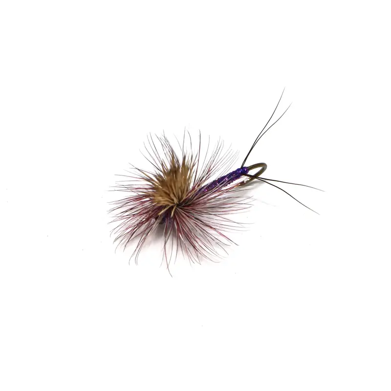 Rocky Mountain Mint Fly By Keller 1