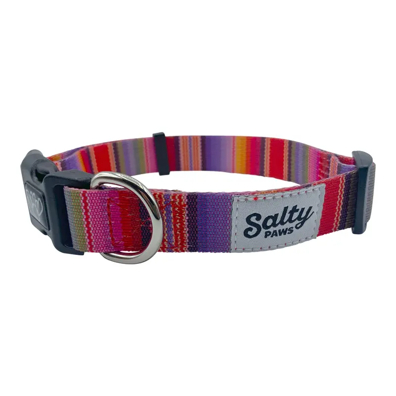 Salty Paws Floral Surf-Themed Dog Collar For Beach Lovers 1