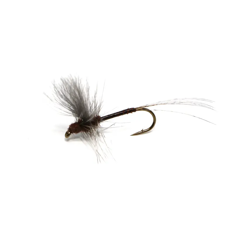 Slate Drake Cdc Thorax Feather 1