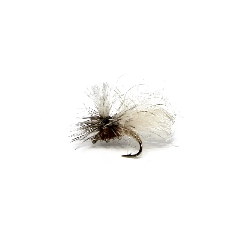 Snowshoe Caddis Dry Fly 1