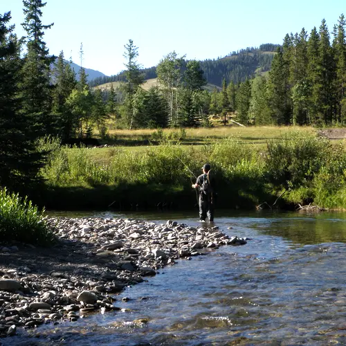 Spring Creek Fly Fishing Skills Workshop 2026 1