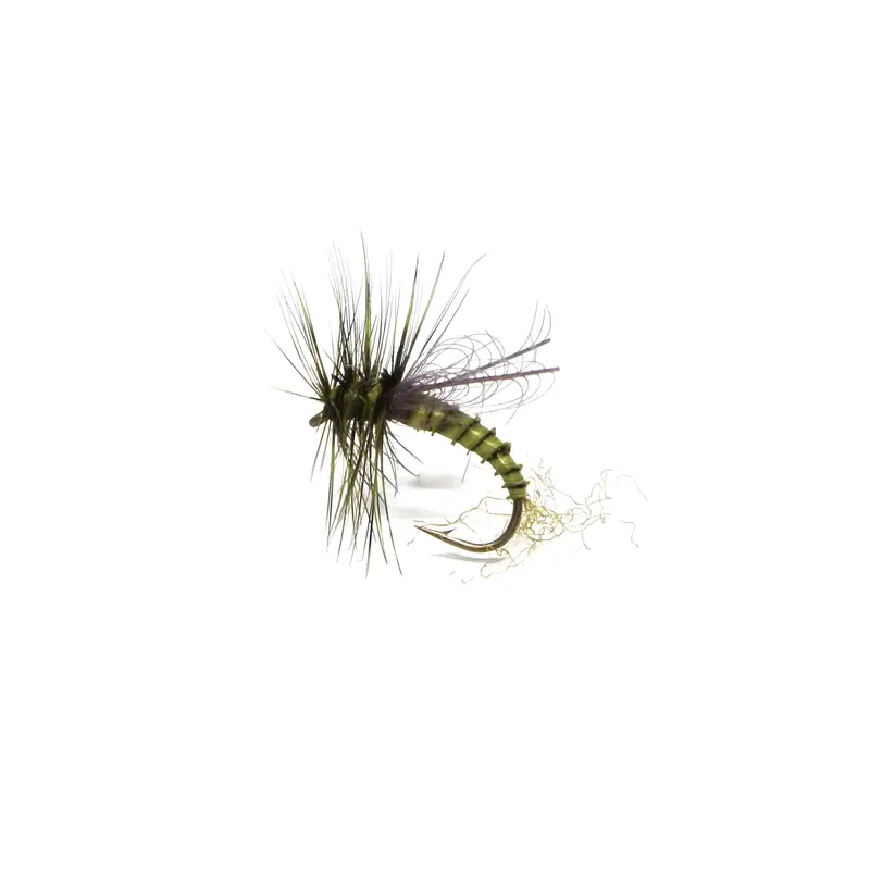 Stillborn Green Drake Cdc Dry Fly 1