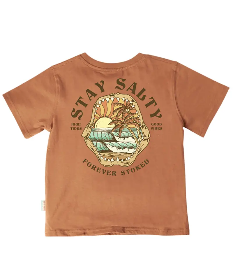 Tank Stream Scenic Shark Art Tee For Boys 1
