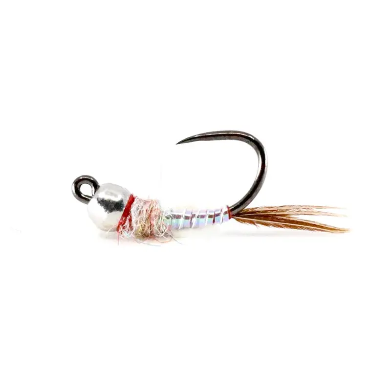 Tb Jiggy Rainbow Warrior Nymph 1