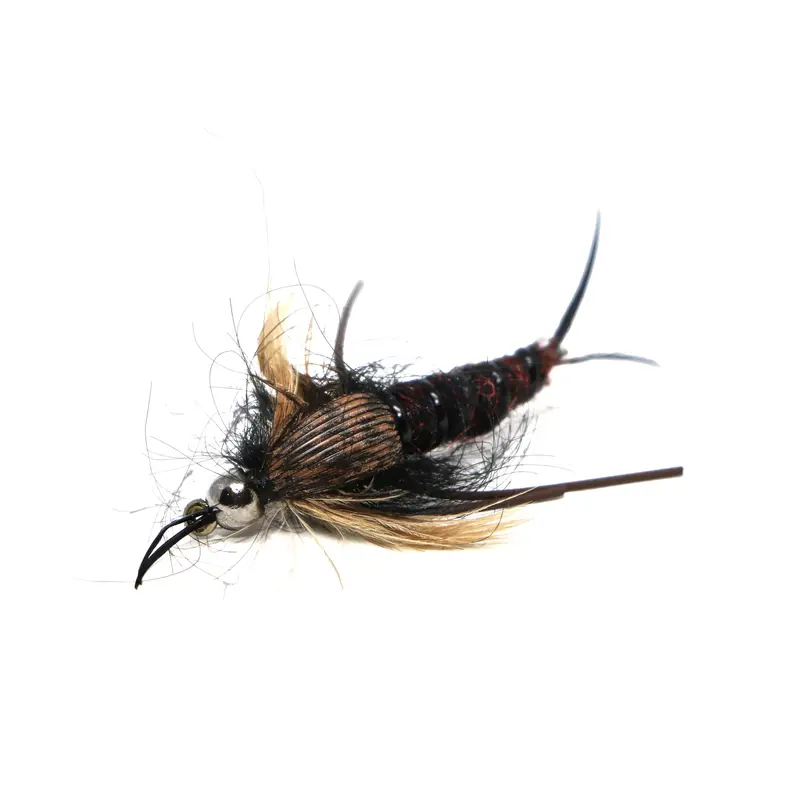 Tb Trout Retriever Fly – Black Labrador Pattern 1