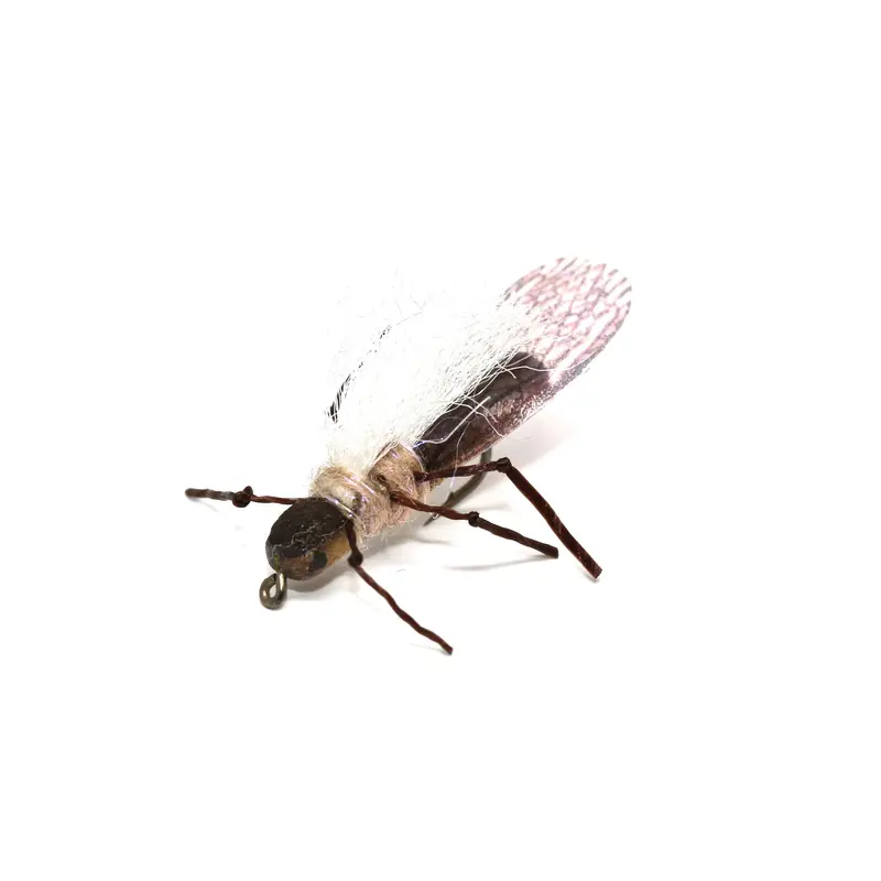 True Goldenstone Nymph – Accurate Stonefly Larva Replica 1